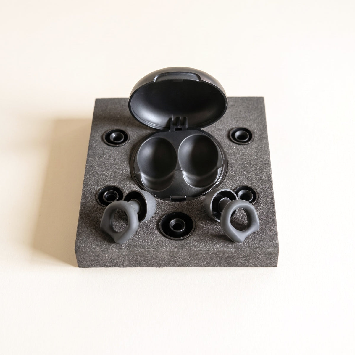DAYBLIND silicone earplugs — case, two plugs and five tip sizes in the tray